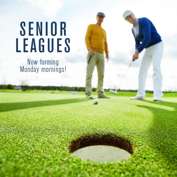 Senior Leagues Now Forming Monday Mornings!